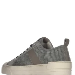 Pajar Sneakers<Tholsen Men'S Casual Sneaker Ash/Grigio